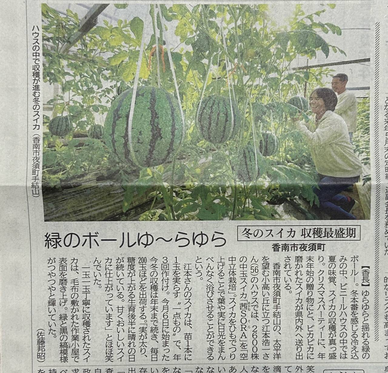 ㊗️ 高知新聞１面 掲載📰✨✨✨