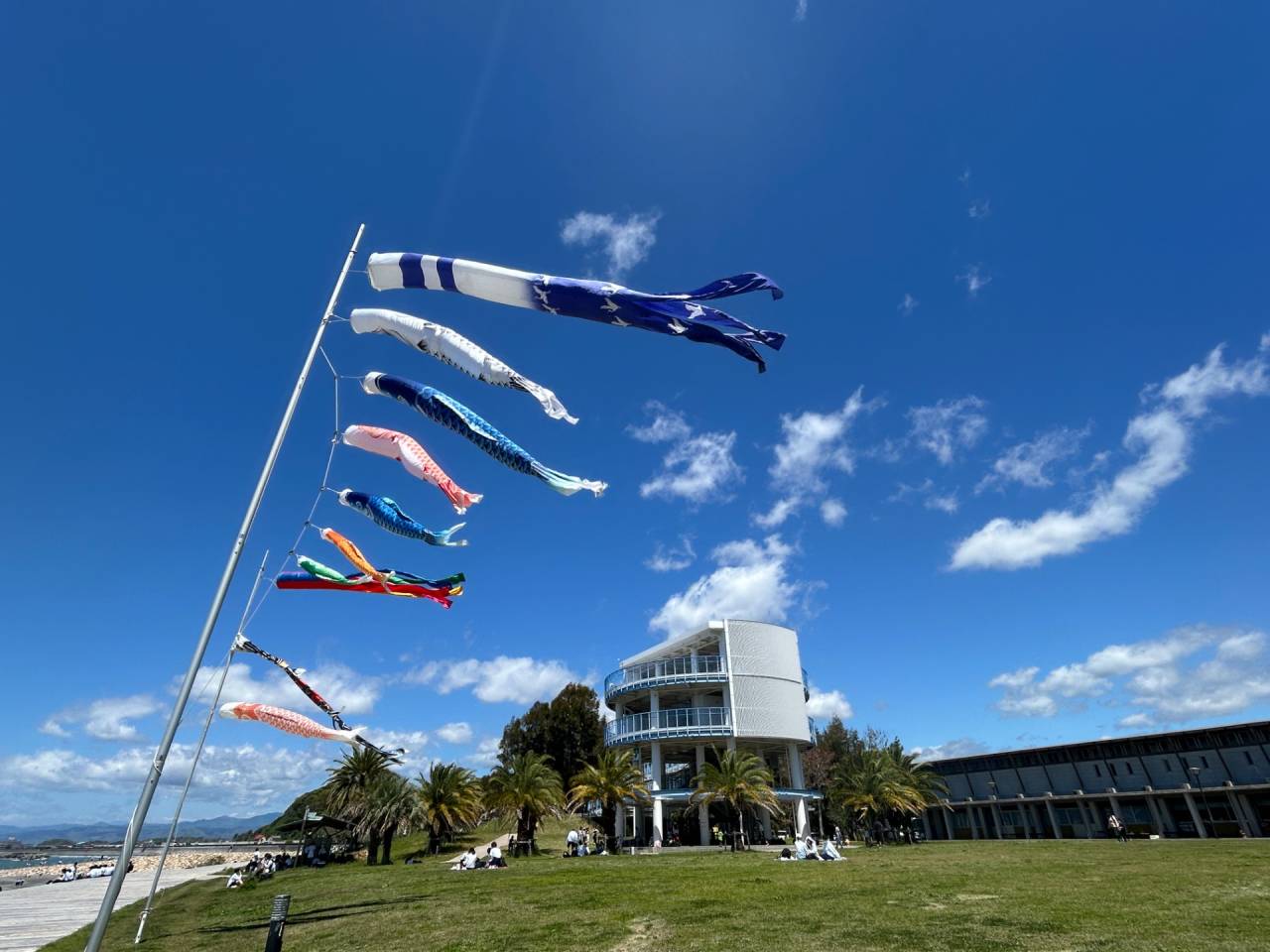 夜中の大雨で 空が一掃✨✨ 眩しい 五月晴れ☀️🎏
