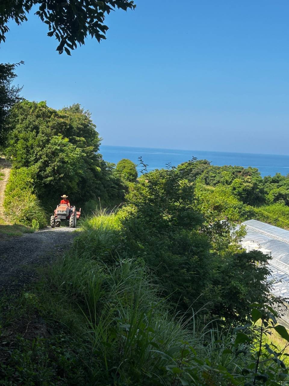 今更ですが… トラクター運転🔰🚜 上手くなりたいっ！