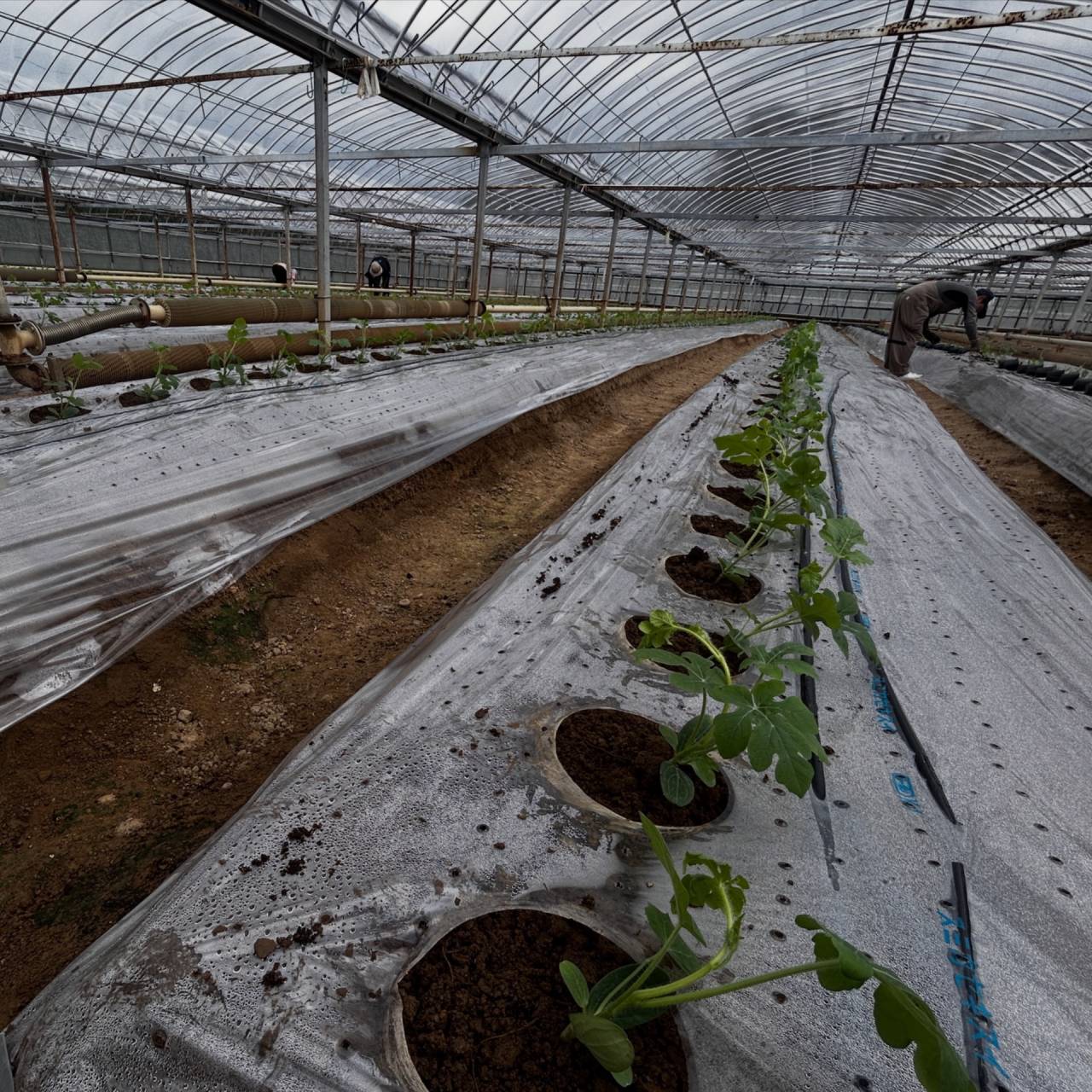 2025年9月を振り返る…充実の1ヶ月でした👏