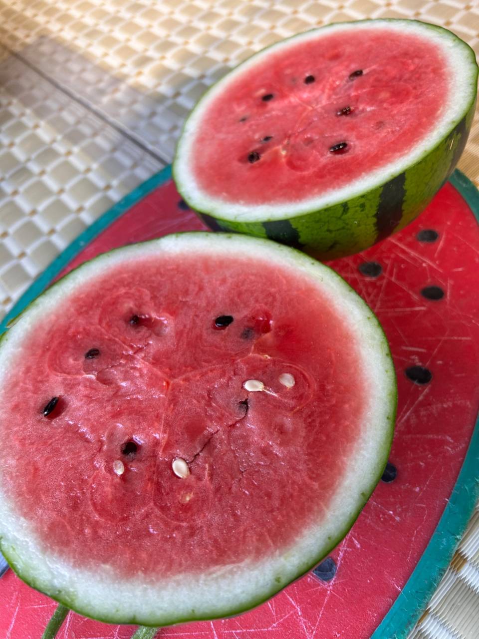 真冬アンテナ🍉収穫① 〜今日の玉も 切ってみる…🔪