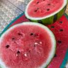 真冬アンテナ🍉収穫① 〜今日の玉も 切ってみる…🔪