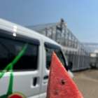 １０年分の感謝を込めて… いよいよ１ヶ月後に！ 大感謝祭やります🍉